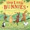 Hop Little Bunnies: A Lift-the-Flap Adventure